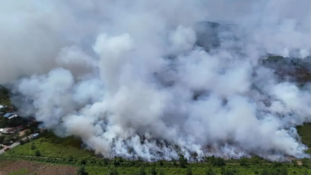 Kebakaran hutan dan lahan di Desa Galang, Sungai Pinyuh, Mempawah, Kalimantan Barat, 9 Februari 2026 - 
Sumber: PMI Kalbar