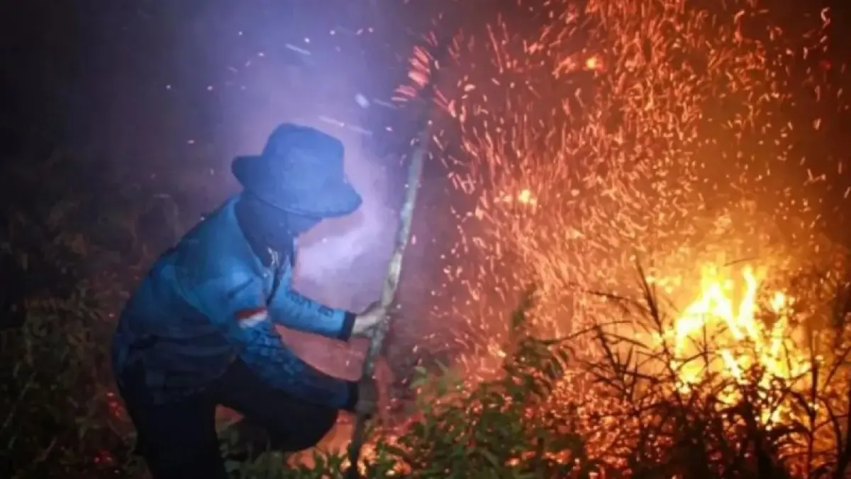 Petugas yang tengah berusaha memadamkan api kebakaran hutan dan lahan (Karhutla). (Dok Antara)