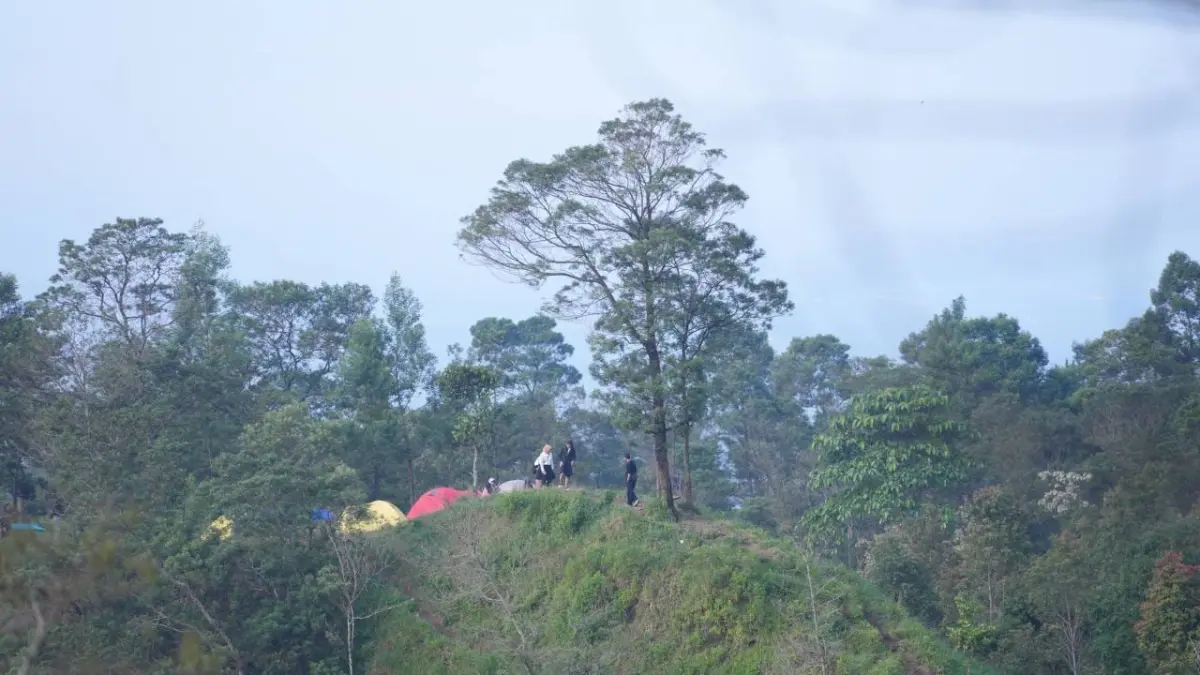 Suasana di puncak Ekowisata Kalitalang, Desa Balerante, Klaten. (dok. Pemkab Klaten)
