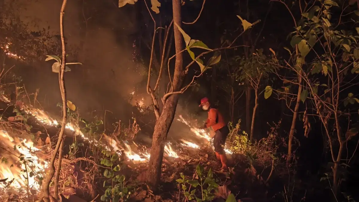 Karhutla melanda kawasan kawasan hutan Perhutani di wilayah Kecamatan Jatiroto, Wonogiri, Kamis (24/9/2026). (Foto: Istimewa)