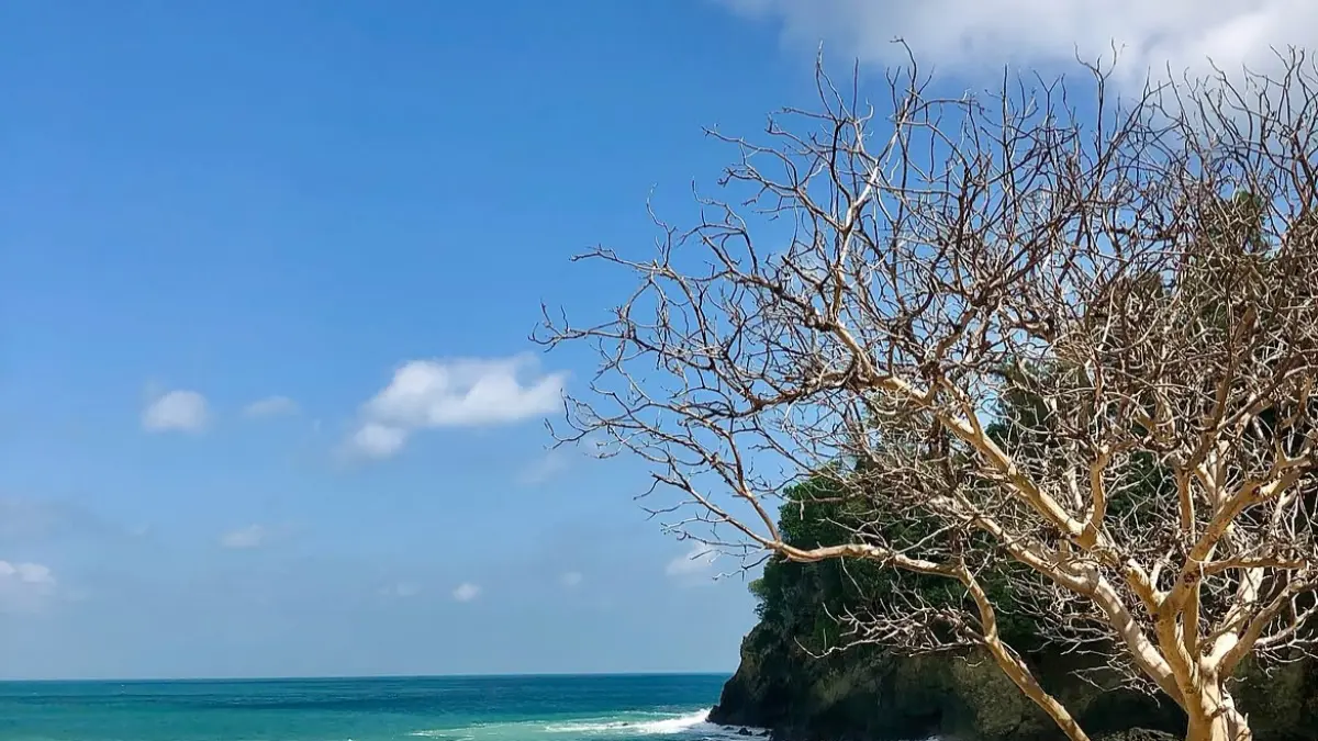 Salah satu pantai di Kebumen. (Sumber: Instagram @syahrur_rr)