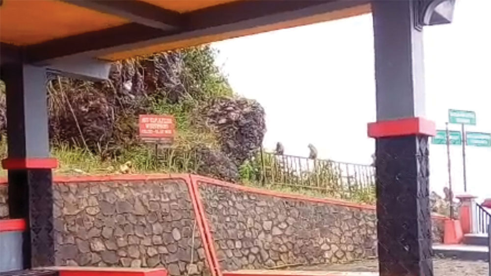 SEPI: Dua kera berada di pagar pengaman di sekitar gardu pandang objek wisata Gua Seplawan Desa Donorejo, Kecamatan Kaligesing, Kabupaten Purworejo. (BUDI AGUNG/RADAR PURWOREJO)