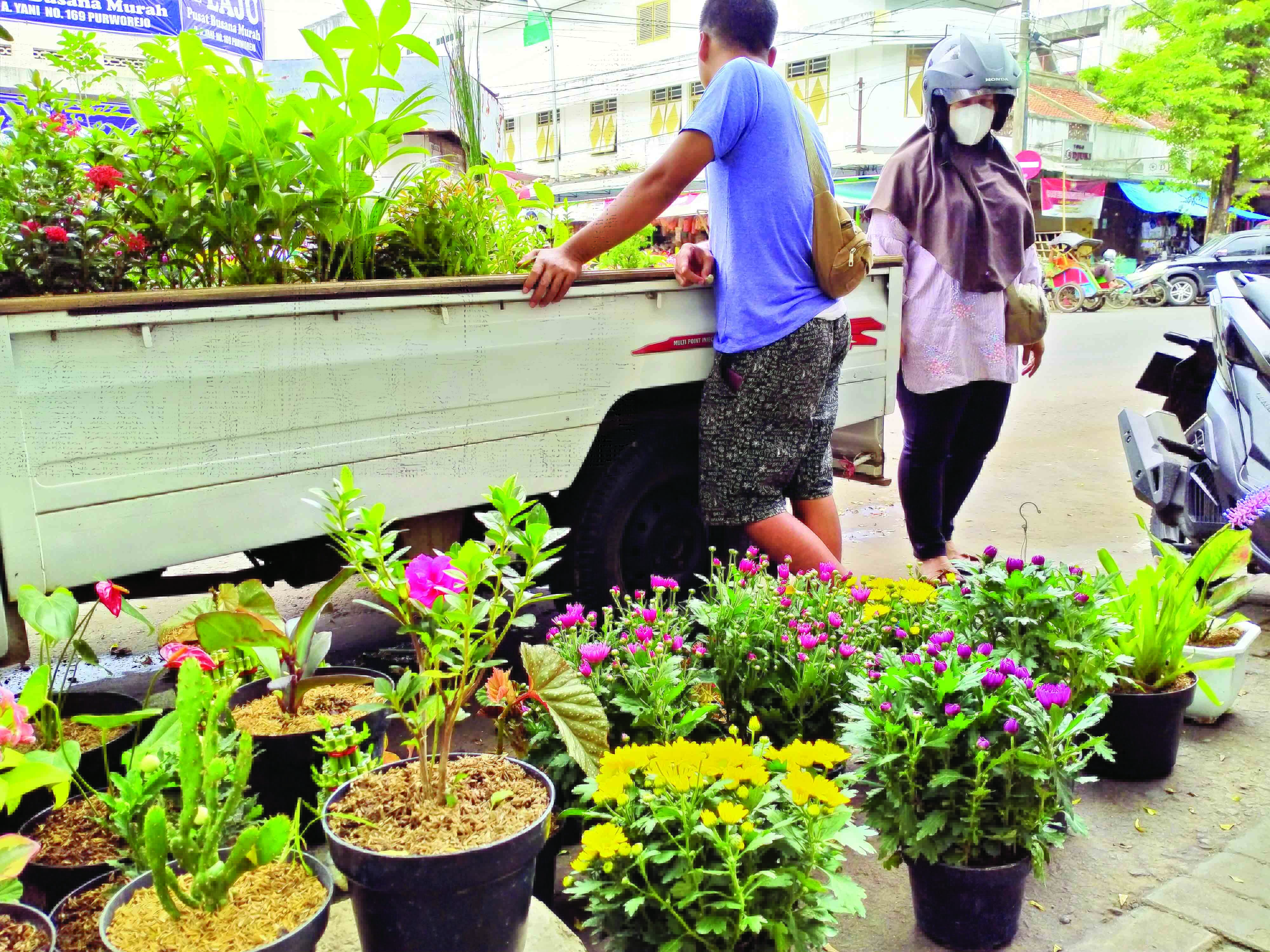 Penjual tanaman hias justru mengalami peningkatan permintaan. Banyaknya aktivitas di rumah mengakibatkan hobi mengoleksi tanaman hias menjadi tumbuh.