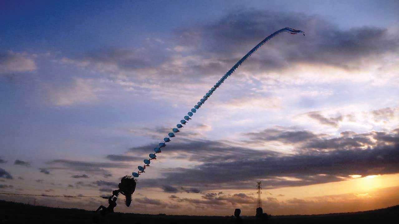 TINGGI: Layang-layang naga raksasa diterbangkan di areal persawahan Dusun Karang Moncol, Desa Jenar Kidul, Kecamatan Purwodadi, Kabupaten Purworejo, kemarin (29/7). (HENDRI UTOMO/Radar Purworejo)