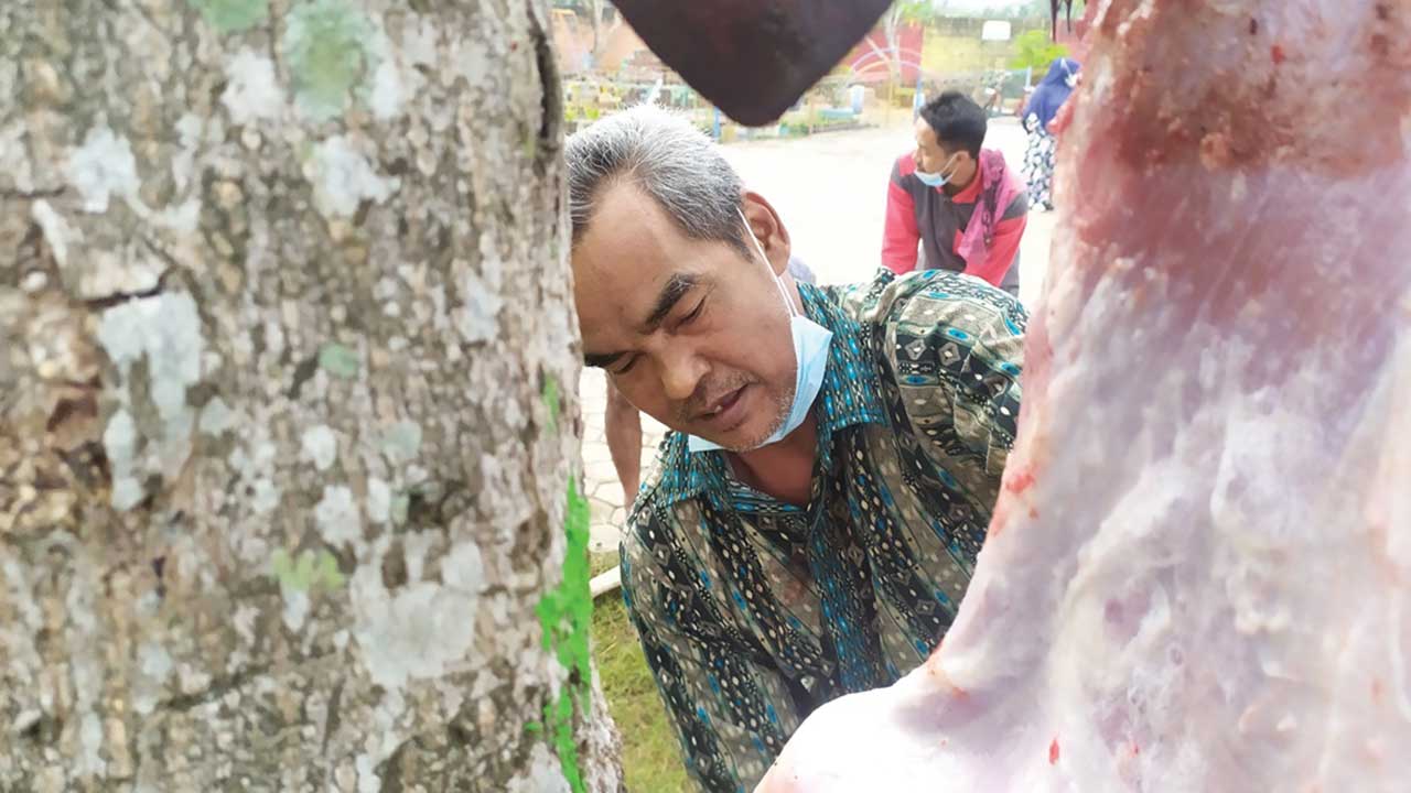 SPESIALIS: Ahmad Sidiq, 63, warga Sutoragan, RT 04 RW 02, Kecamatan Kemiri saat beraksi menguliti kambing kurban di Sd Al-Madina Purworejo, kemarin. (HENDRI UTOMO/RADAR PURWOREJO)