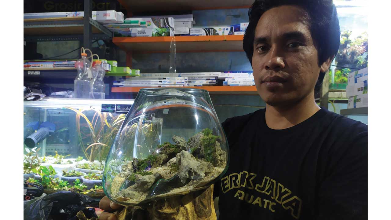 FRESH: Erik Setiabudi, 37, warga Seren, Kecamatan Gebang tengah mendesain Wood Glass dengan konsep aquascape di Toko Ikan Hias miliknya di Seren, Kecamatan Gebang, kemarin. (HENDRI UTOMO/RADAR PURWOREJO)