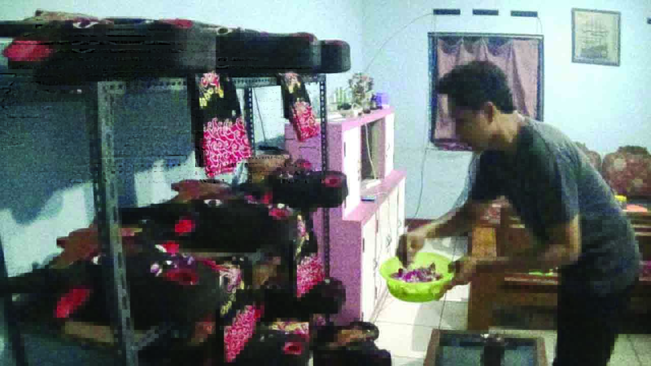 Ide pembuatan mahesosyuro berangkat dari masa kecil nya. Di mana, pada saat-saat tertentu seperti bulan puasa atau Suro selalu ada atraksi barongan di Dusun Sembir.