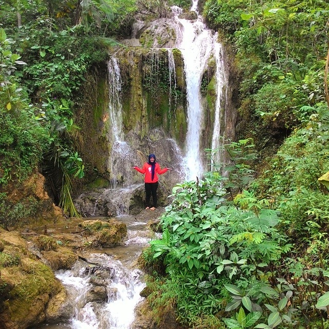 Suasana curug Tawing saat debit air cukup deras. Kelestariannya masih terjaga dengan nuansa hijau pepohonan pinus nan sejuk.