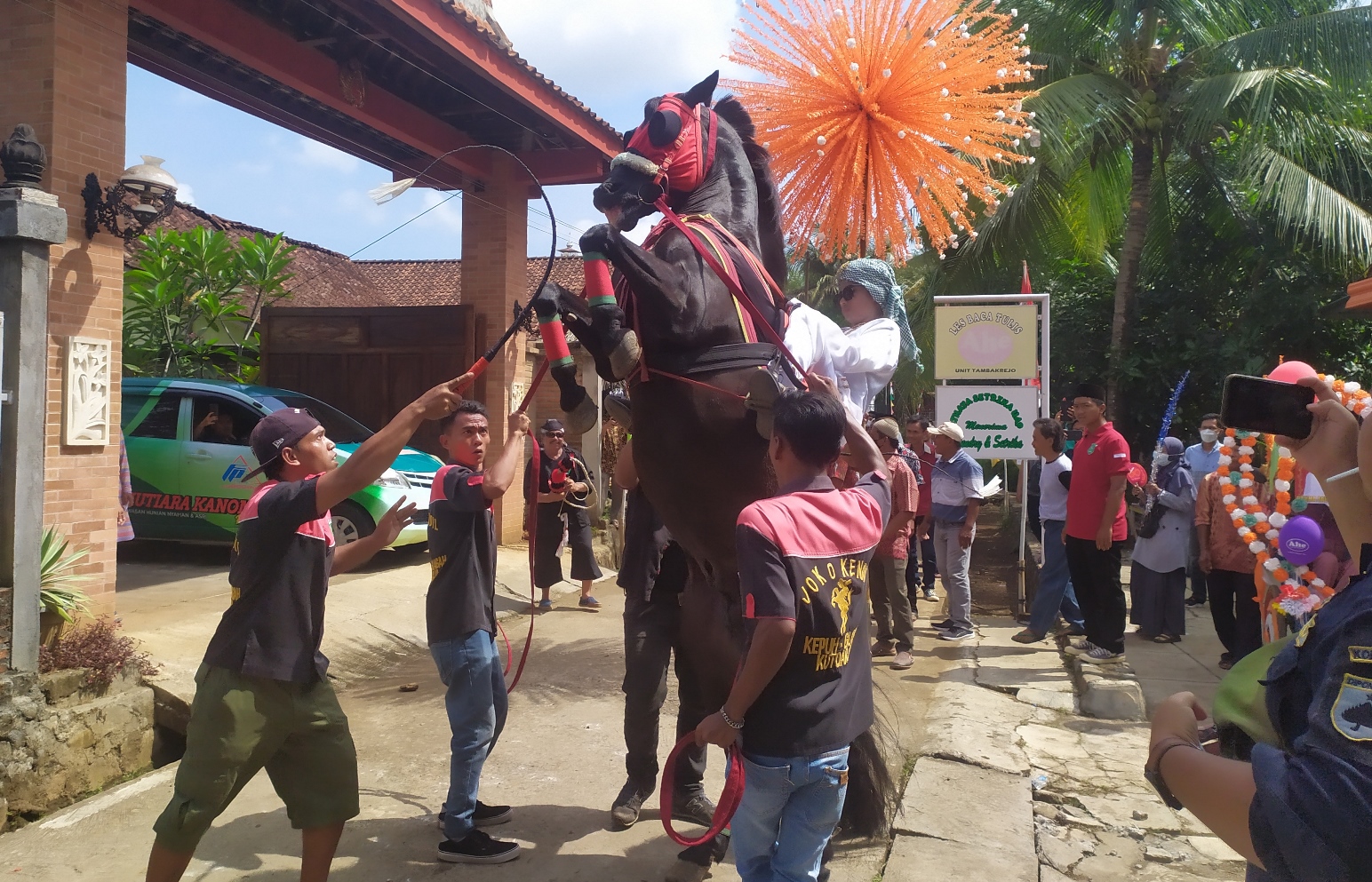 Atraksi kuda jingkrak memeriahkan peringatan Maulid Nabi Muhammad SAW di Kelurahan Tambakrejo, Purworejo, Selasa (19/10)