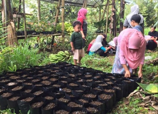 POTENSI: Sejumlah warga Klepu, Desa Pandanrejo menyiapkan polybag yang akan ditanami jenis tanaman andhong merah. 