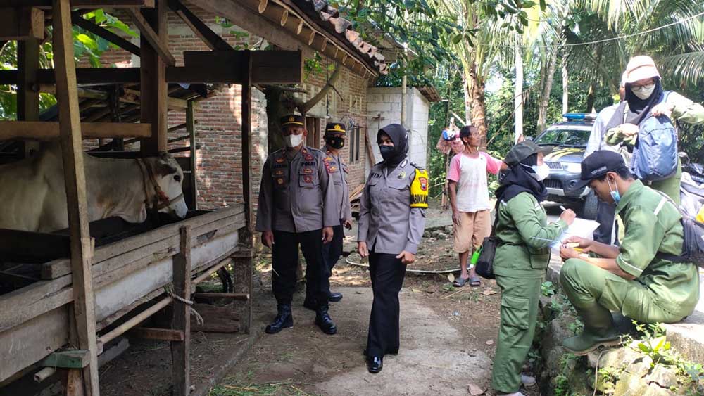 PENGAWASAN : Pihak kepolisian dari Polres Kebumen masuk kandang ternak untuk ikut mensukseskan program vaksinasi penyakit kuku dan mulut (PMK). (Istimewa)