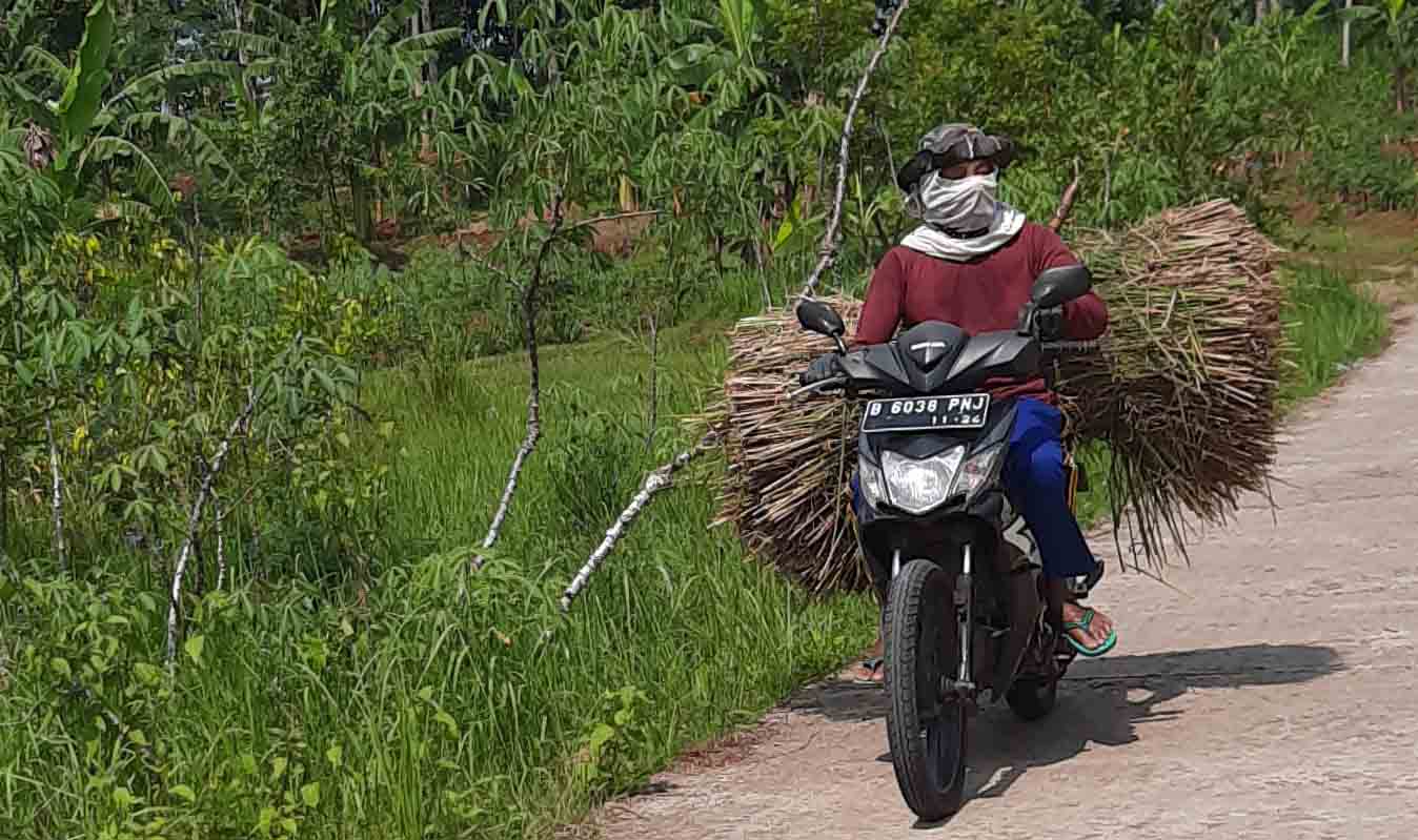 SEMANGAT - Nampak seorang petani pulang dari sawah membawa jerami usai panen di wilayah Kapanewon Patuk akhir pekan  lalu. GUNAWAN/RADARJOGJA