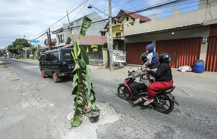 BENTUK PROTES: Warga melintas di samping pohon pisang yang ditanam di jalan oleh warga di Jalan Monumen Perjuanngan, Wirokerten, Banguntapan, Bantul Minggu (2/7/23). ELANG KHARISMA DEWANGGA/RADAR JOGJA