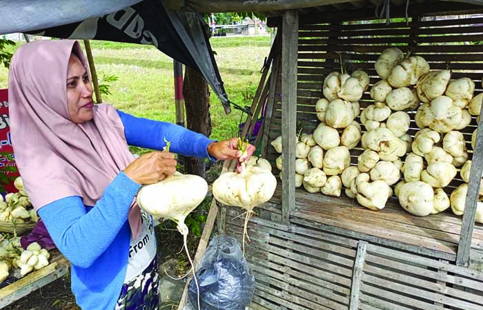 LARIS : Penjual bengkuang menggelar lapak di barat simpang empat Prembun, Kebumen. M HAFIED/RADAR KEBUMEN