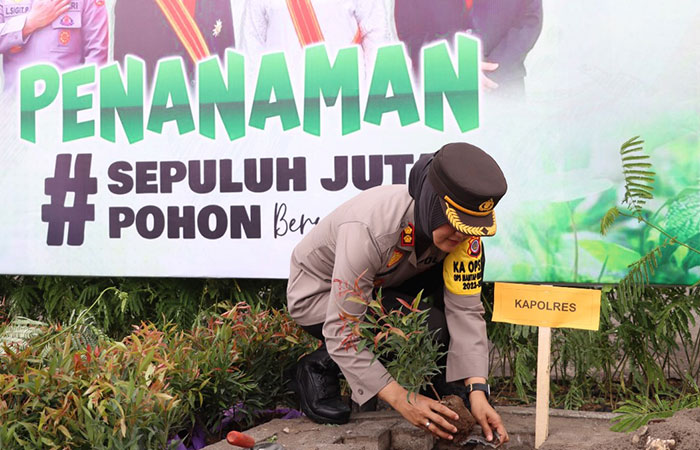 PENGHIJAUAN: Kapolres Kulon Progo AKBP Nunuk Setiyowati menanam bibit pohon pucuk merah di Kompleks Stadion Cangkring Wates, Rabu (15/11),HENDRI UTOMO/RADAR JOGJA
