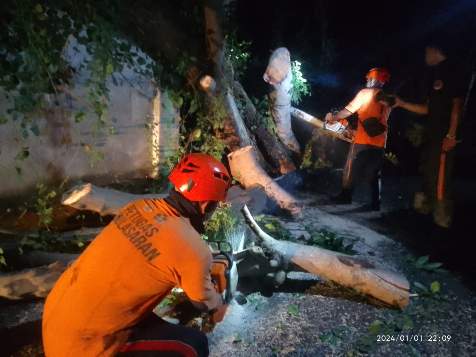 RUSAK RUMAH: Tim Reaksi Cepat BPBD Buleleng memangkas pohon tumbang yang menimpa rumah kost di Desa Baktiseraga.