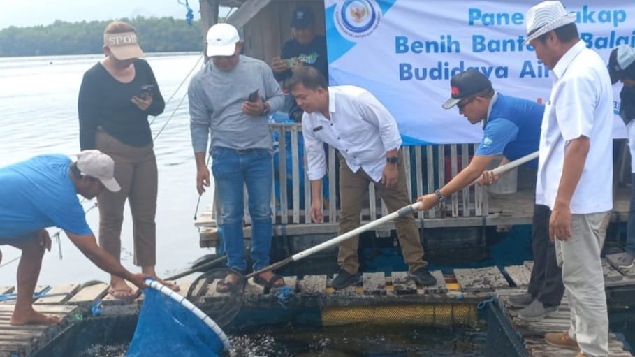 MENJANJIKAN: Panen raya budidaya ikan kakap putih dengan metode KJA di Desa Sumberkima, Rabu (3/1/2024).