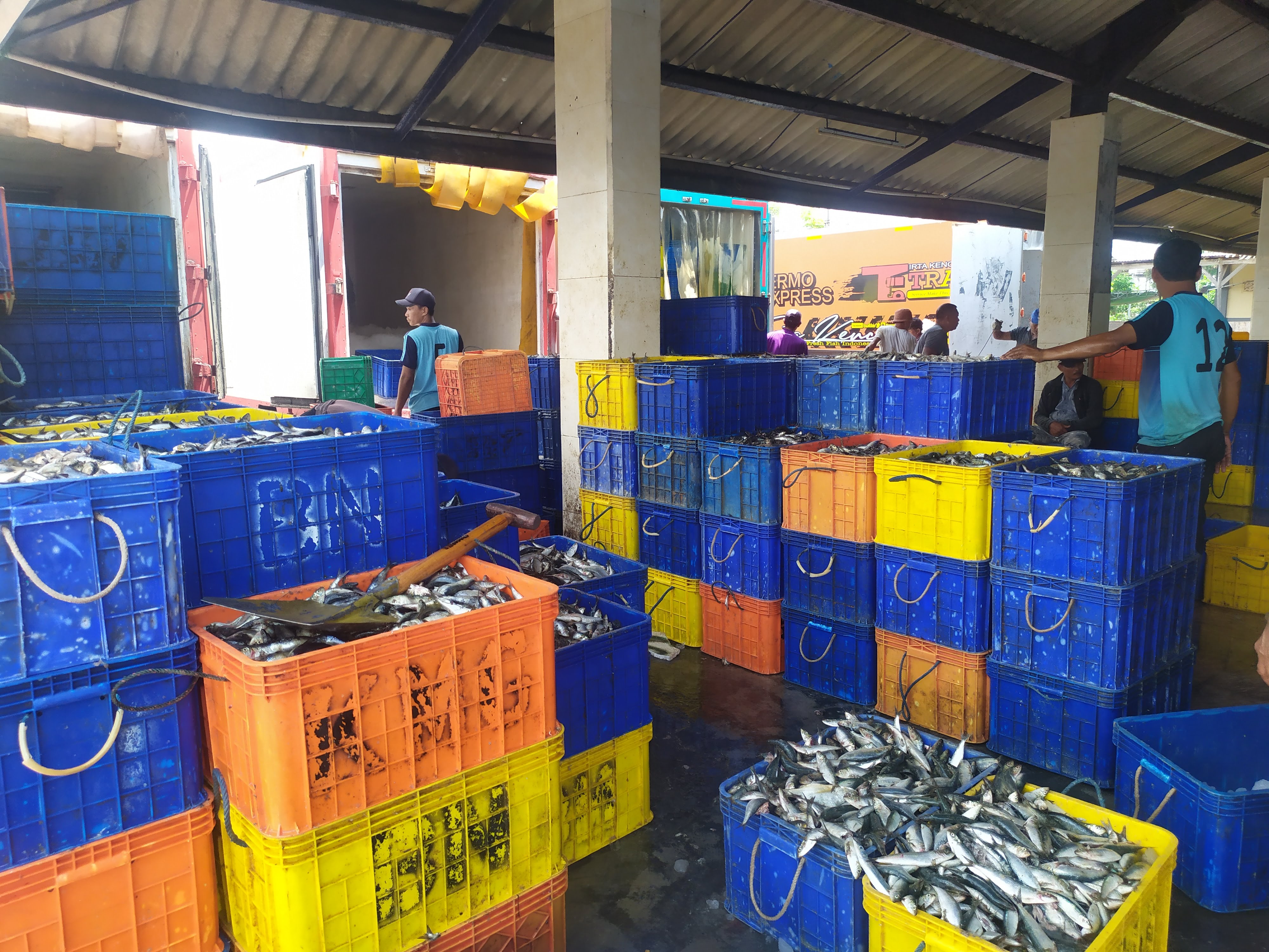TANGKAPAN MELIMPAH: Ikan hasil tangkapan nelayan yang dikumpulkan di Tempat Pelelangan Ikan Pelabuhan Perikanan Nusantara (TPI PPN) Pengambengan.