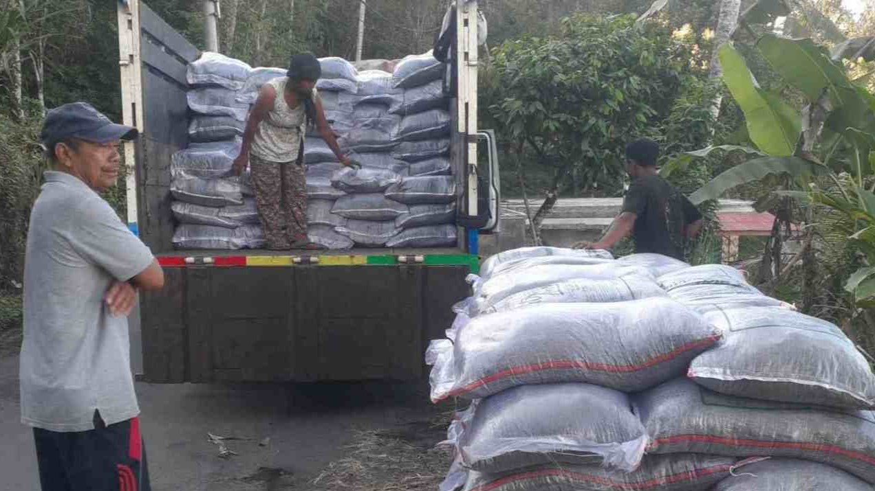 ORGANIK: Petani di Subak Sanda, Desa Kayuputih yang mendapatkan jatah pupuk organik padat subsidi dari pemerintah.