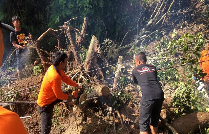 Proses pembersihan material tanah longsor dan pohon tumbang di Jalan Raya Gunung Kawi, Banjar Sebatu, Tegallalang, Gianyar.