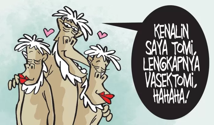 Ilustrasi Vasektomi