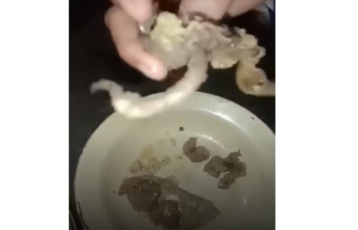 Rawon yang diduga menggunakan daging tikus. Video ini diduga berlokasi di Kabupaten Buleleng.