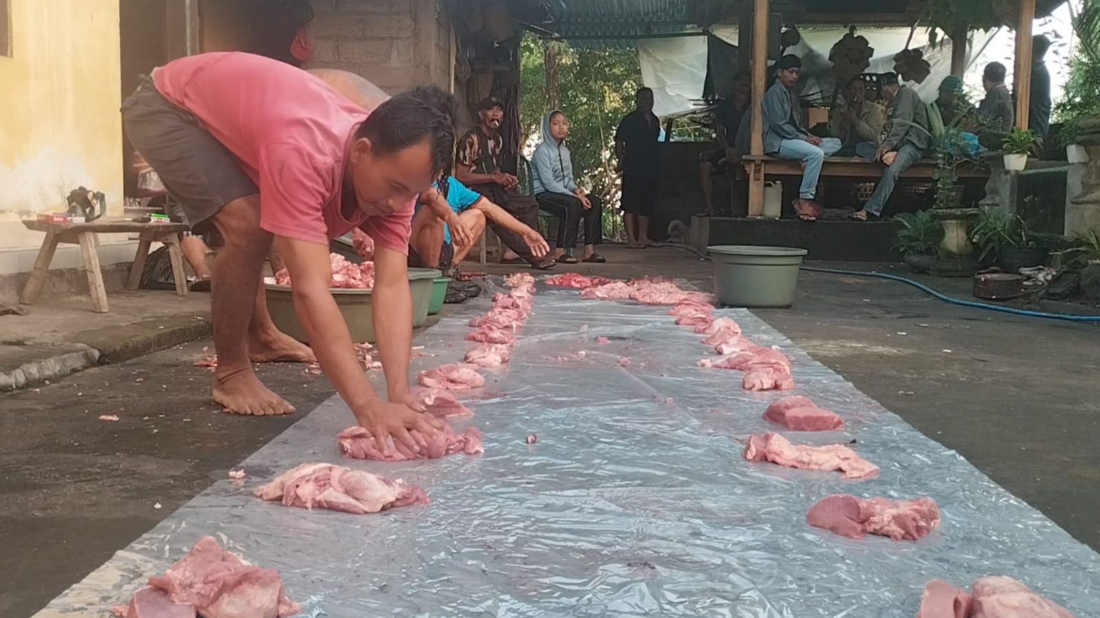MEPATUNG: Anggota Sekaa Angklung Sabda Ulangan melakukan mepatung menjelang hari raya Galungan.