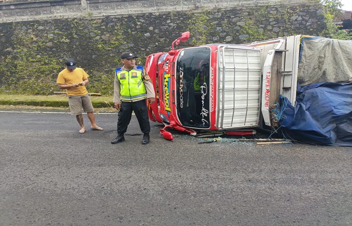 Truk pengangkut kentang ini terguling di Jalan Raya Singaraja-Denpasar karena tidak kuat menanjak.