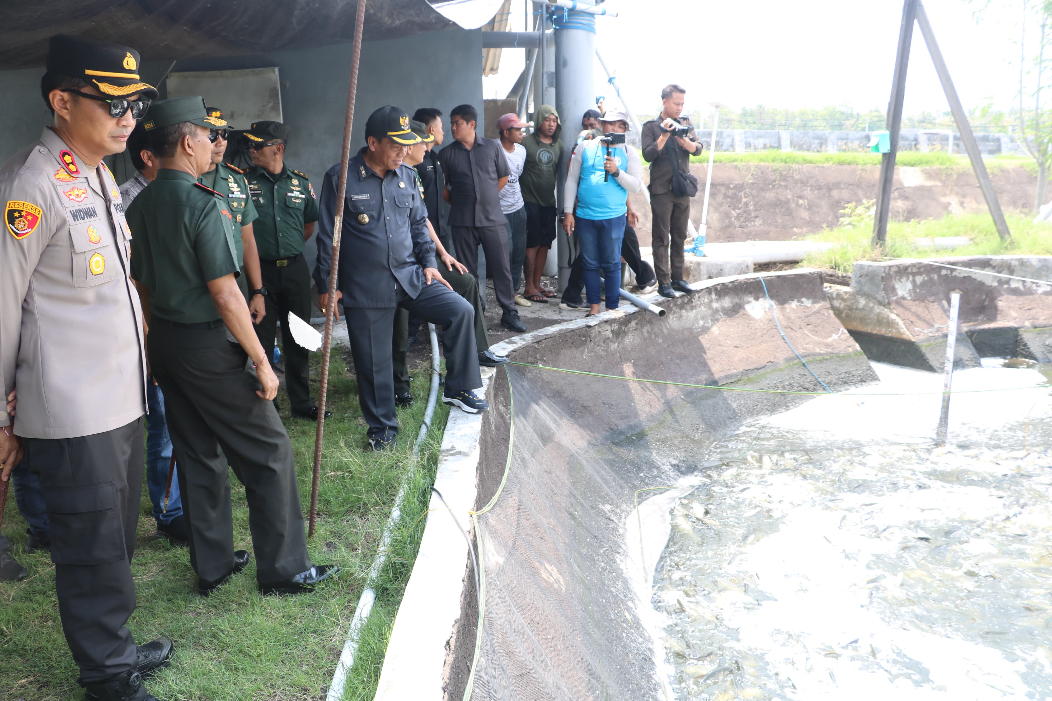 PANEN PERDANA: Panen perdana ikan bandeng di Desa Patas, Kecamatan Gerokgak.