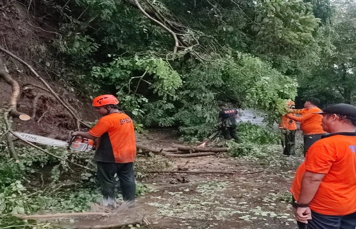 BPBD Buleleng imbau masyarakat waspada dengan bencana yang terjadi belakangan ini di Bali utara.