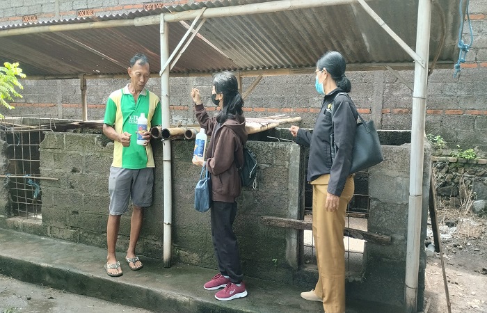 Kabid Peternakan dan Kesehatan Hewan Distan Buleleng, I Made Suparma ajak peternak perhatikan kebersihan kandang babi, antisipasi virus babi.