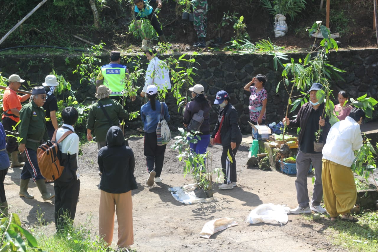 TANAM POHON: Warga dan akademisi menyiapkan bibit pohon yang akan ditanam di kawasan perbukitan Bali Utara, tepatnya di Kayuan Sukajati Bangkiangsidem, Desa Pedawa.