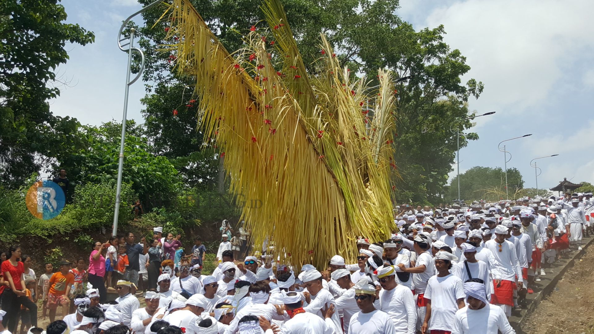 NGUSABA BUKAKA: Tradisi ngusaba bukakak di Desa Giri Emas, Buleleng.