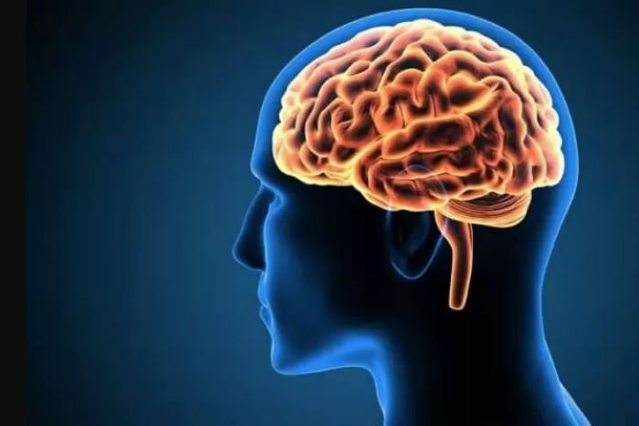 Ilustrasi penyakit meningitis atau radang selaput otak .