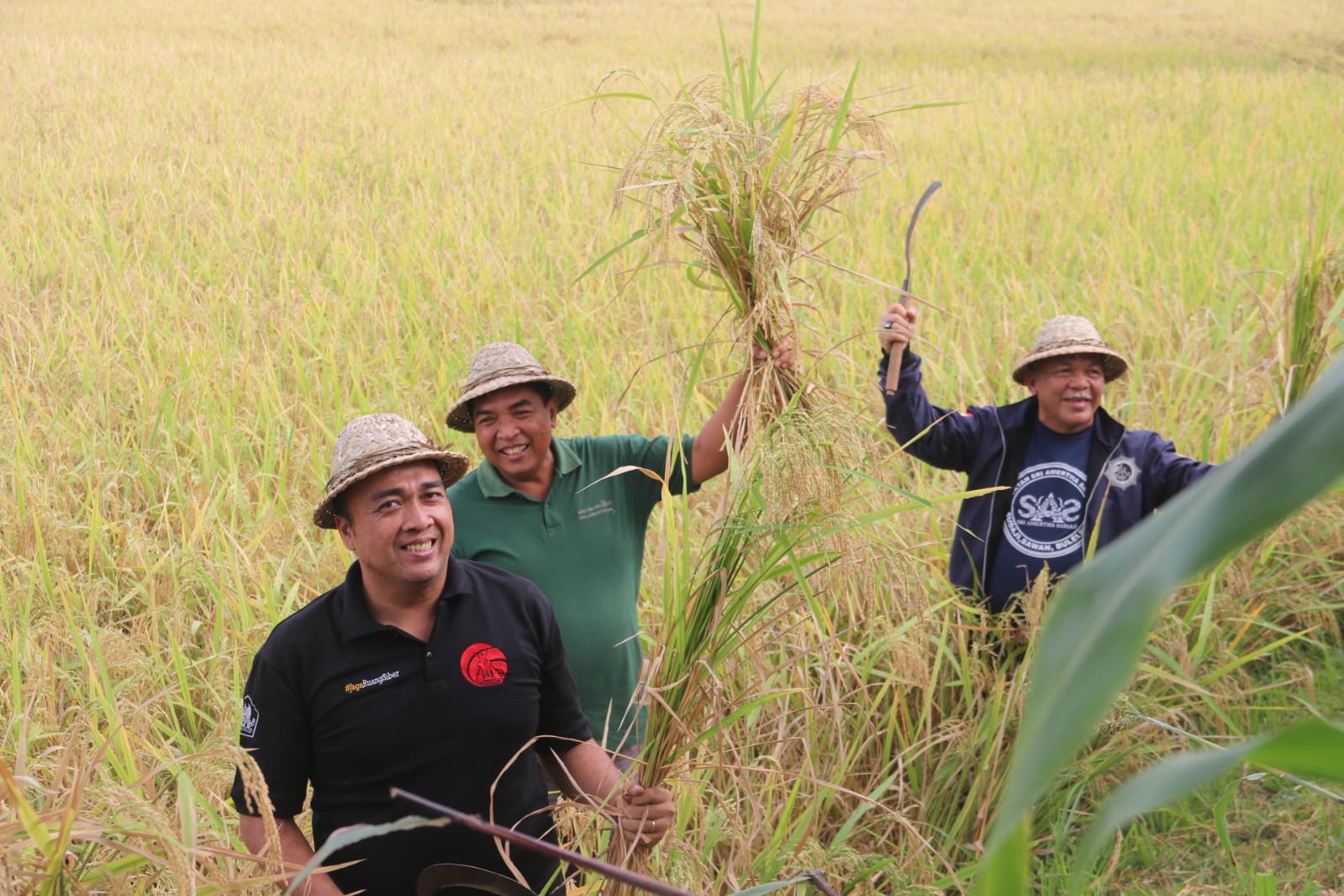 ORGANIK: Petani di Subak Getih mengambil ubinan padi yang ditanam menggunakan sistem pertanian organik.
