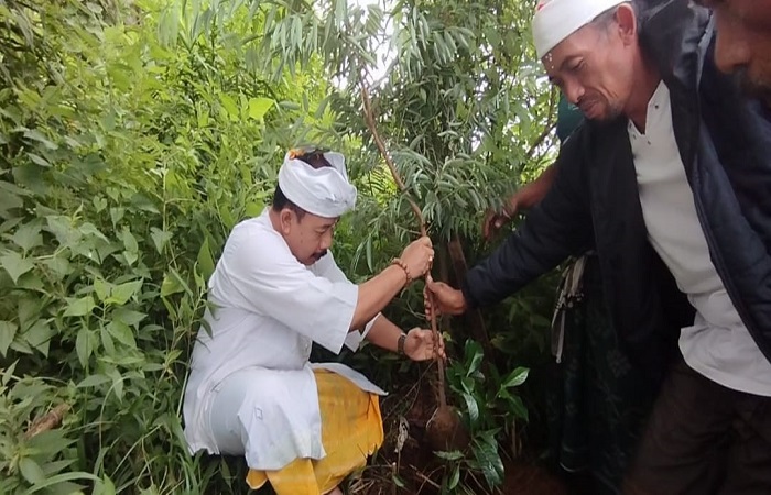 Upaya penghijauan melalui penanaman pohon nagasari di Puncak Landep, Desa Panji Anom, Kecamatan Sukasada yang dilakukan BMI Buleleng. Di sana, mereka menanam pohon nagasari.