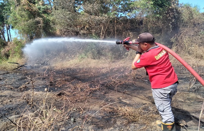 Petugas pemadam kebakaran saat melakukan pemadaman pada lahan kosong yang terbakar di Banjar Dinas Kerta Buana, Desa Tianyar Barat, Kecamatan Kubu, Rabu (19/6) kemarin.