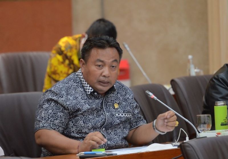 NASIB SUPIR: Anggota DPR RI, Wayan Parta