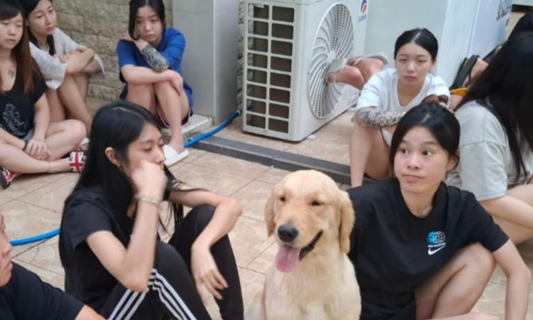 Ratusan Orang Asing (OA) kebangsaan Tiongkok, Malaysia dan Taiwan, disuruh tidur tengkurap di halaman Villa Hati Indah, Tabanan,Bali, Rabu (26/6) kemarin.