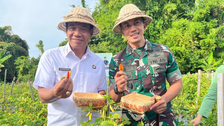 KETAHANAN PANGAN: Panglima Kodam IX/Udayana, Mayjen TNI Bambang Trisnohadi  (kanan) bersama Pj. Bupati Buleleng Ketut Lihadnyana (kiri) di Hutan Kota Singaraja.