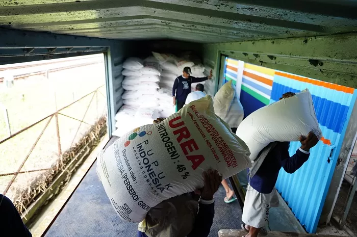 Proses distribusi pupuk bersubsidi