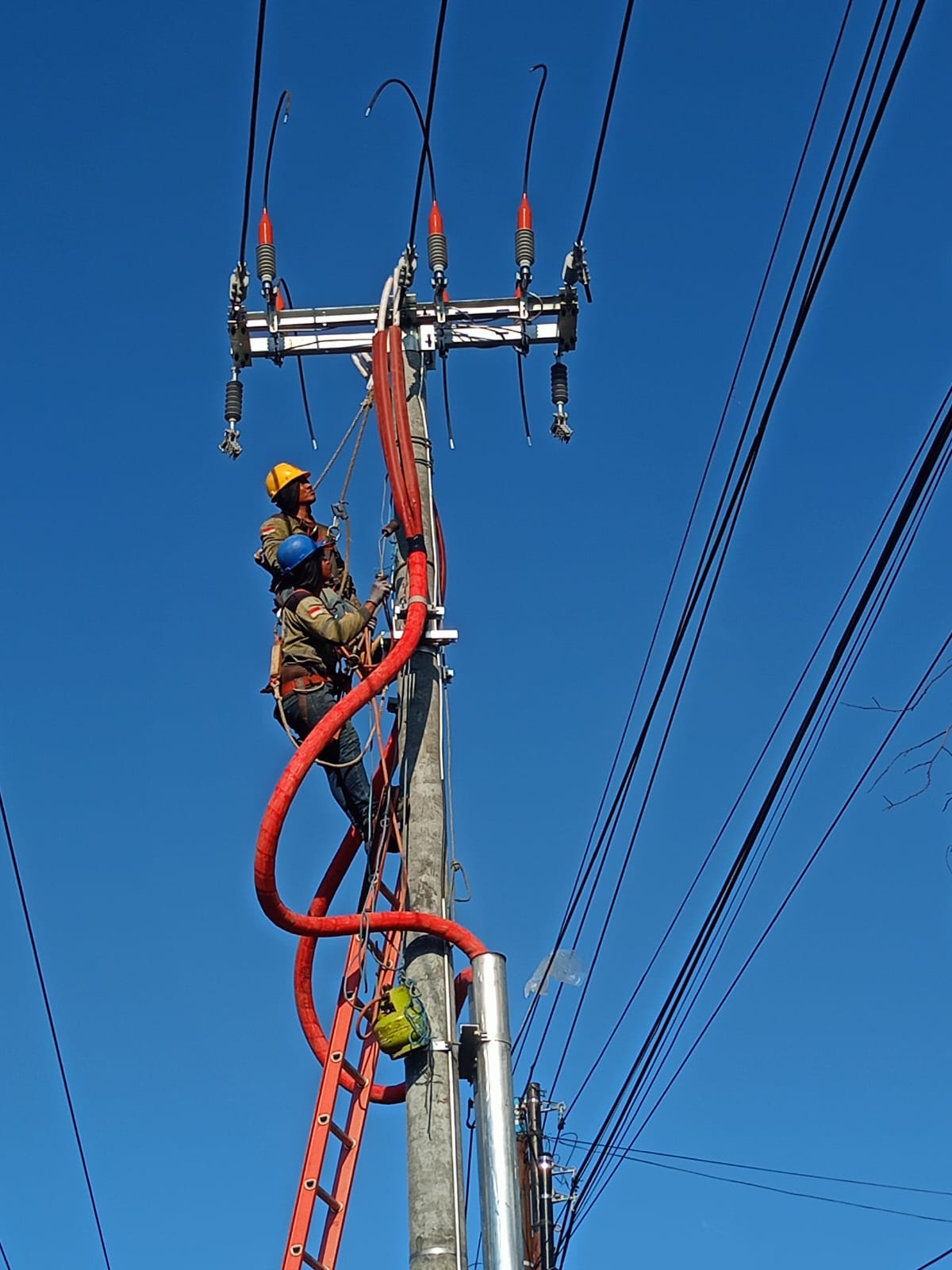 Kegiatan perawatan yang dilakukan petugas PLN Bali.