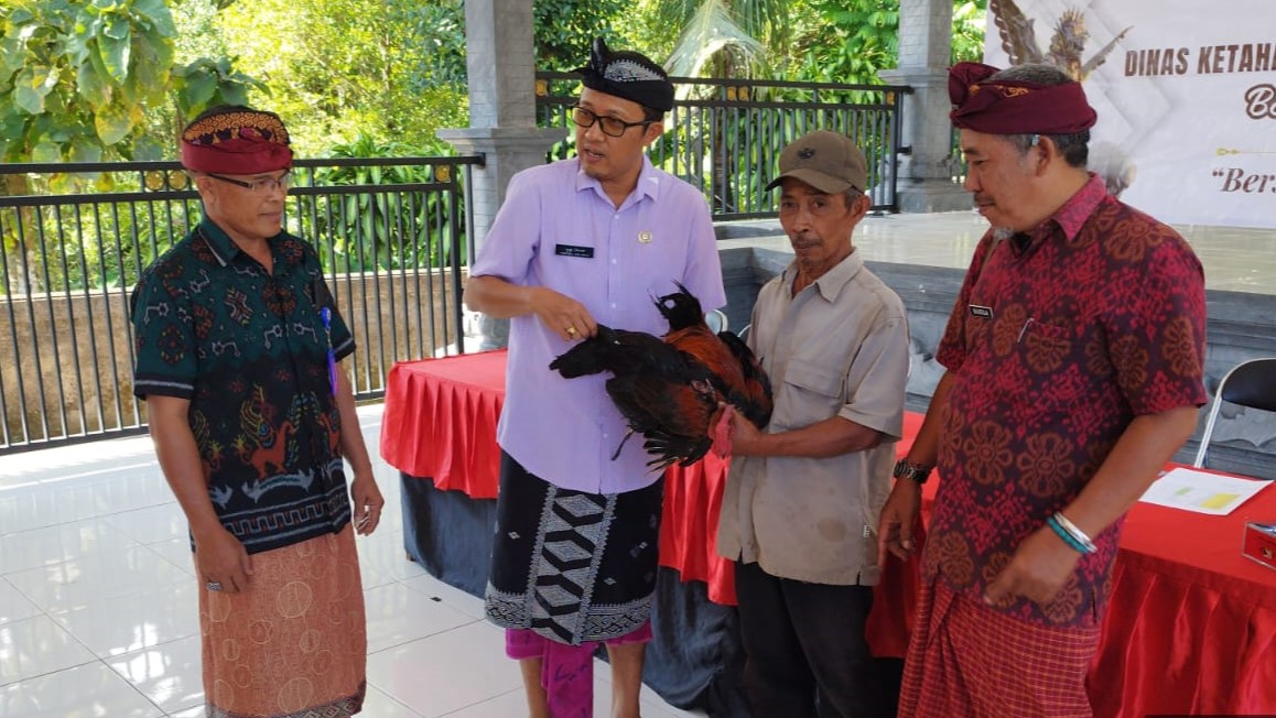 ENTASKAN KEMISKINAN: Kepala Dinas Ketahanan Pangan dan Perikanan (DKPP) Buleleng, I Gede Putra Aryanan (dua dari kiri) menyerahkan bantuan ayam buras kepada warga Tigawasa.