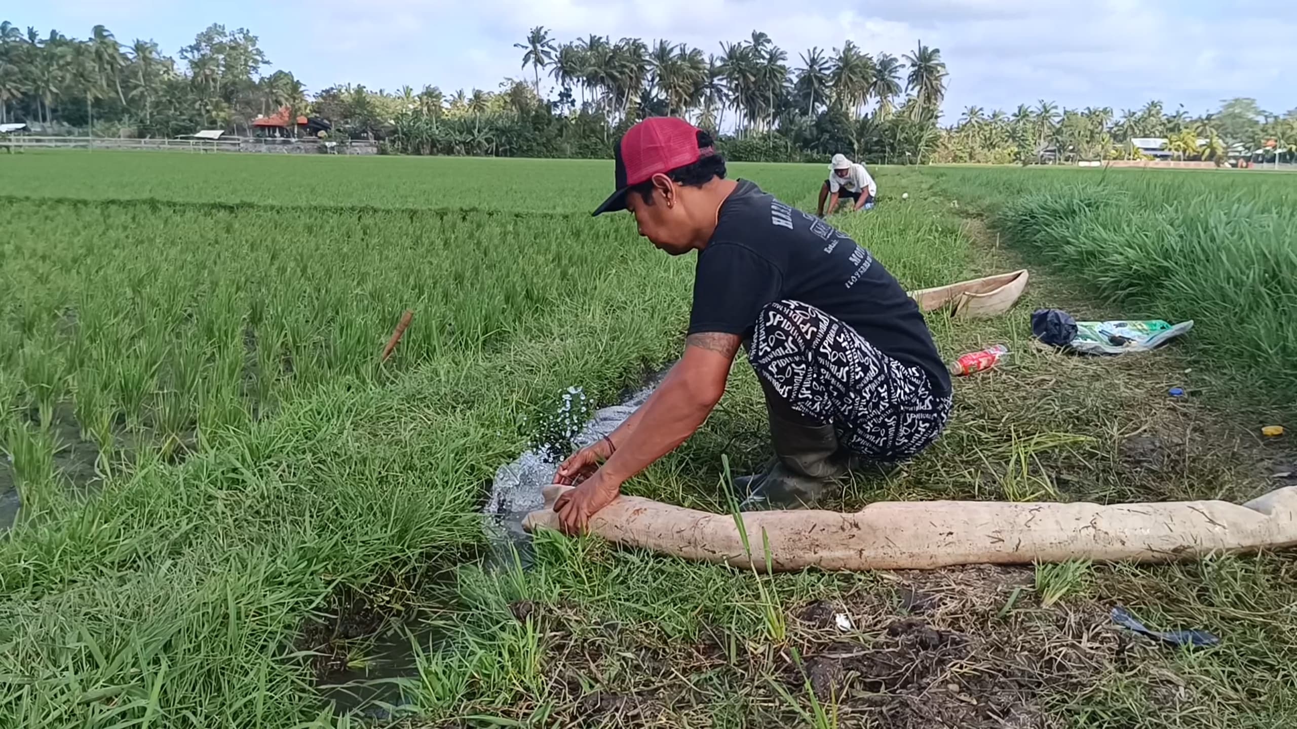 KEKERINGAN: Petani di Subak Kali Kembar, Bali, mengoperasikan mesin pompa air, agar lahannya tetap mendapatkan air.