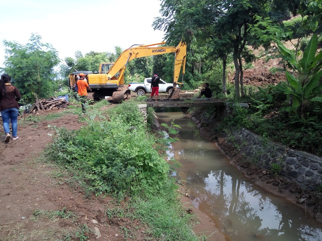 PENDANGKALAN PARAH: Saluran irigasi yang mengalami pendangkalan parah. Pendangkalan berdampak pada 200 hektare lahan persawahan di Seririt.