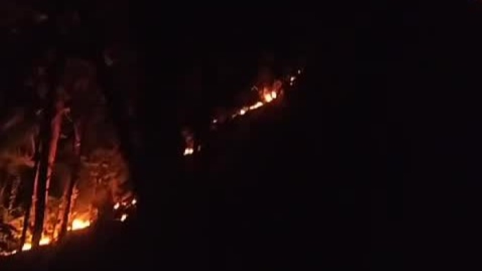 TERBAKAR: Tangkapan layar video Hutan Desa Tinga-Tinga tepatnya di Bukit Togog-Togogan yang terbakar pada Minggu (11/8) malam.