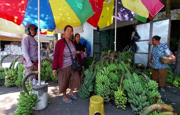 Pedagang pisang di Pasar Amlapura Barat, Kamis (19/9). Jelang raya Galungan, harga buah lokal mulai mengalami kenaikan.