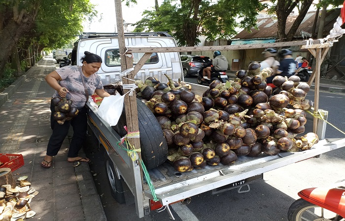 Buah pohon lontar menjadi viral di medsos karena  bentuk yang unik dan rasa buahnya yang segar. Bahkan jarang ditemui di pasaran menjadi daya tarik.