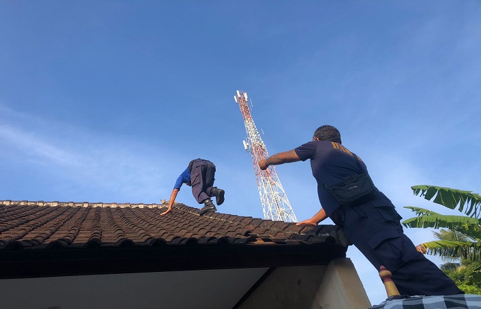 Petugas Damkartan saat melakukan evakuasi seekor kucing yang tak bisa turun dari atap rumah di wilayah BTN Wahyu, Kelurahan Subagan pada Sabtu (5/10).