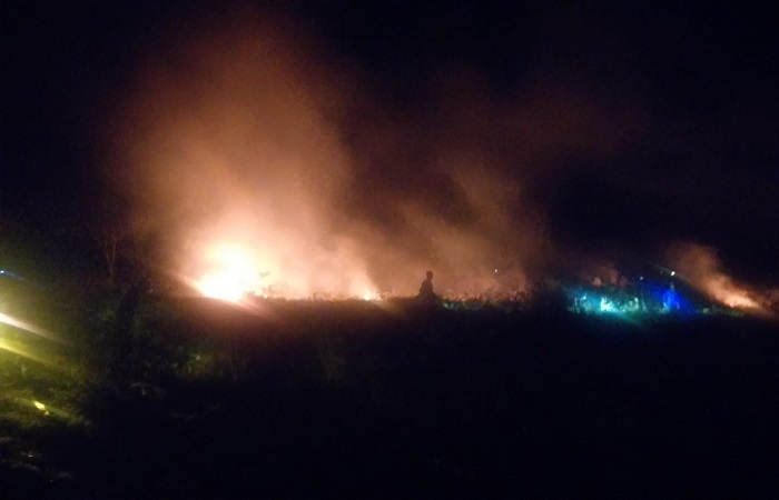 Situasi di lahan milik Pemprov Bali yang terbakar diduga akibat cuaca panas yang melanda Kabupaten Buleleng.